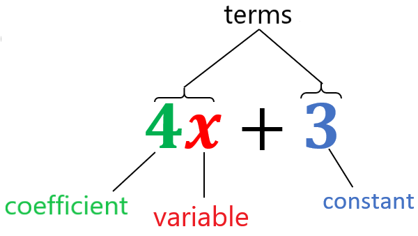 parts of an algebraic expression