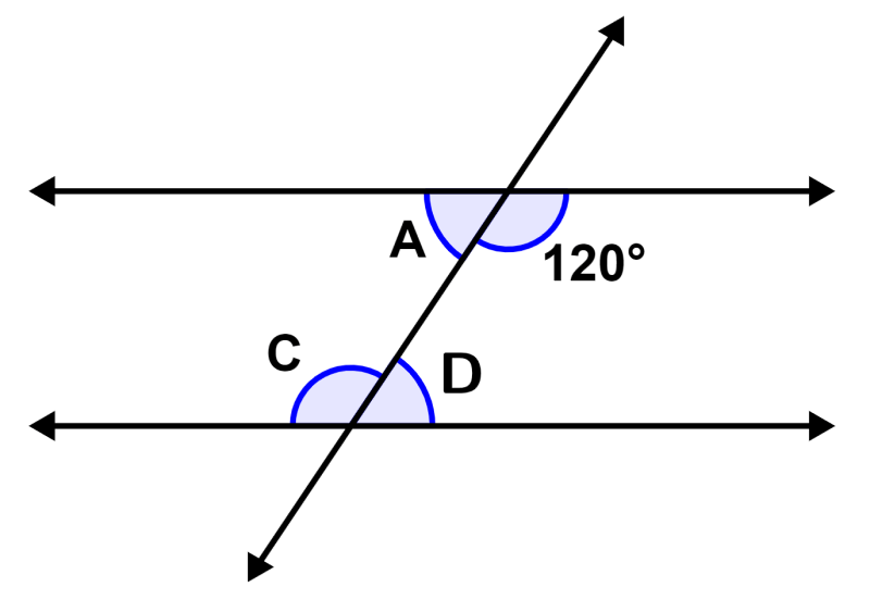 alternate interior angles example 2