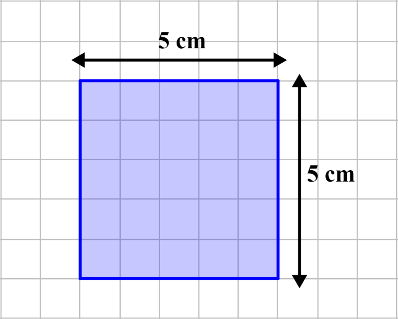 diagram of a square with dimensions on a grid