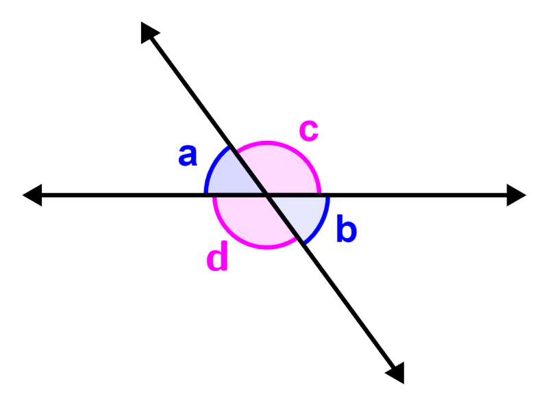 diagram of opposite vertical angles