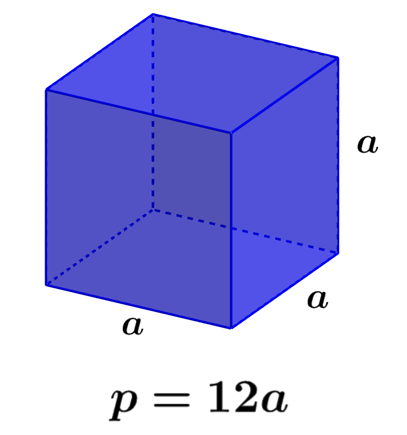formula for the perimeter of a cube