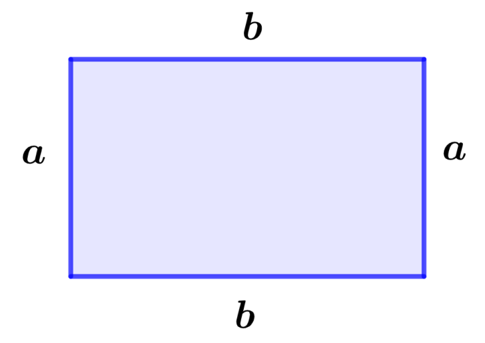 rectangle with dimensions