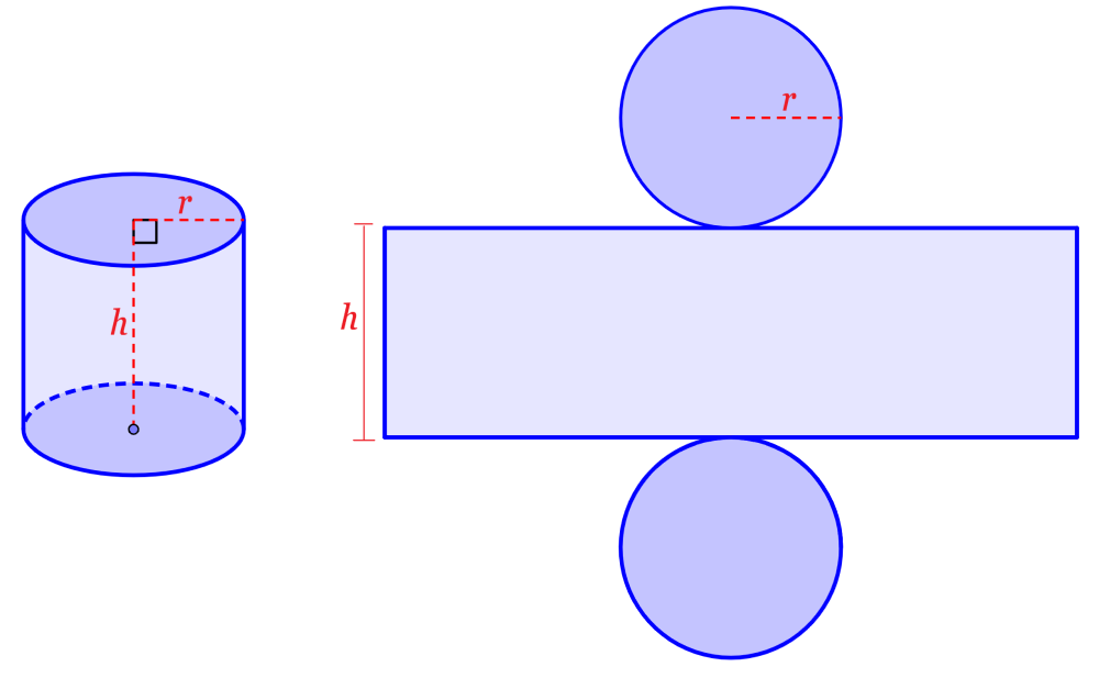 net of a cylinder