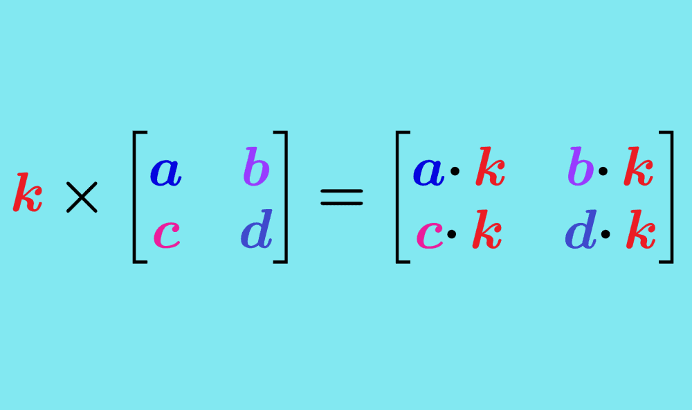 Multiplying a 2x2 matrix by a scalar